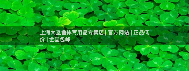 重庆欧陆娱乐有限公司怎么样:上海大鲨鱼体育用品专卖店 | 官