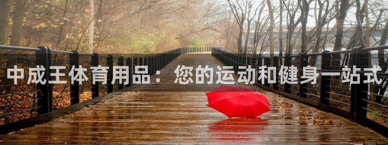 欧陆娱乐的故事:中成王体育用品:您的运动和健身一站式