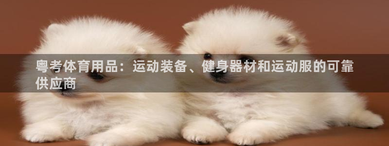 欧陆娱乐脚本下载:粤考体育用品:运动装备、健身器材和运动服的