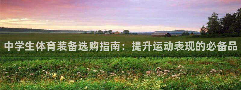欧陆娱乐注册链接安全吗可靠吗:中学生体育装备选购指南:提升运