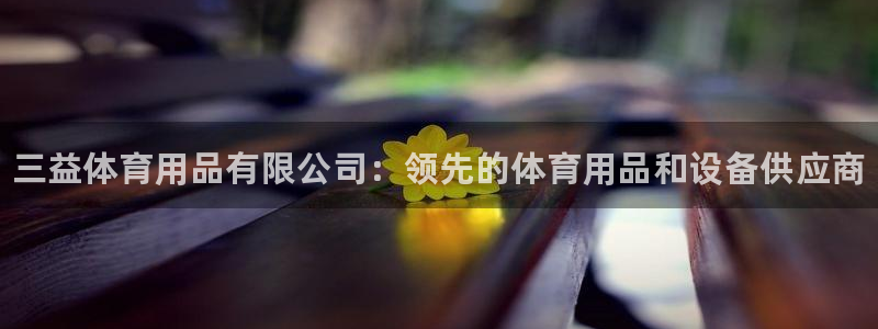 欧陆娱乐的故事有哪些:三益体育用品有限公司:领先的体育用品和