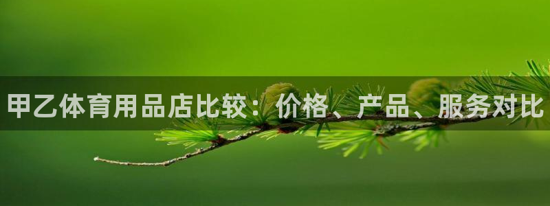 欧陆娱乐访问:甲乙体育用品店比较:价格、产品、服务对比