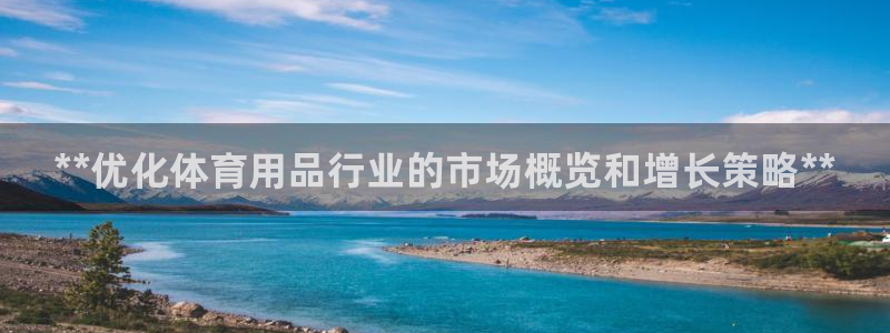 欧陆娱乐客服电话:**优化体育用品行业的市场概览和增长策略*